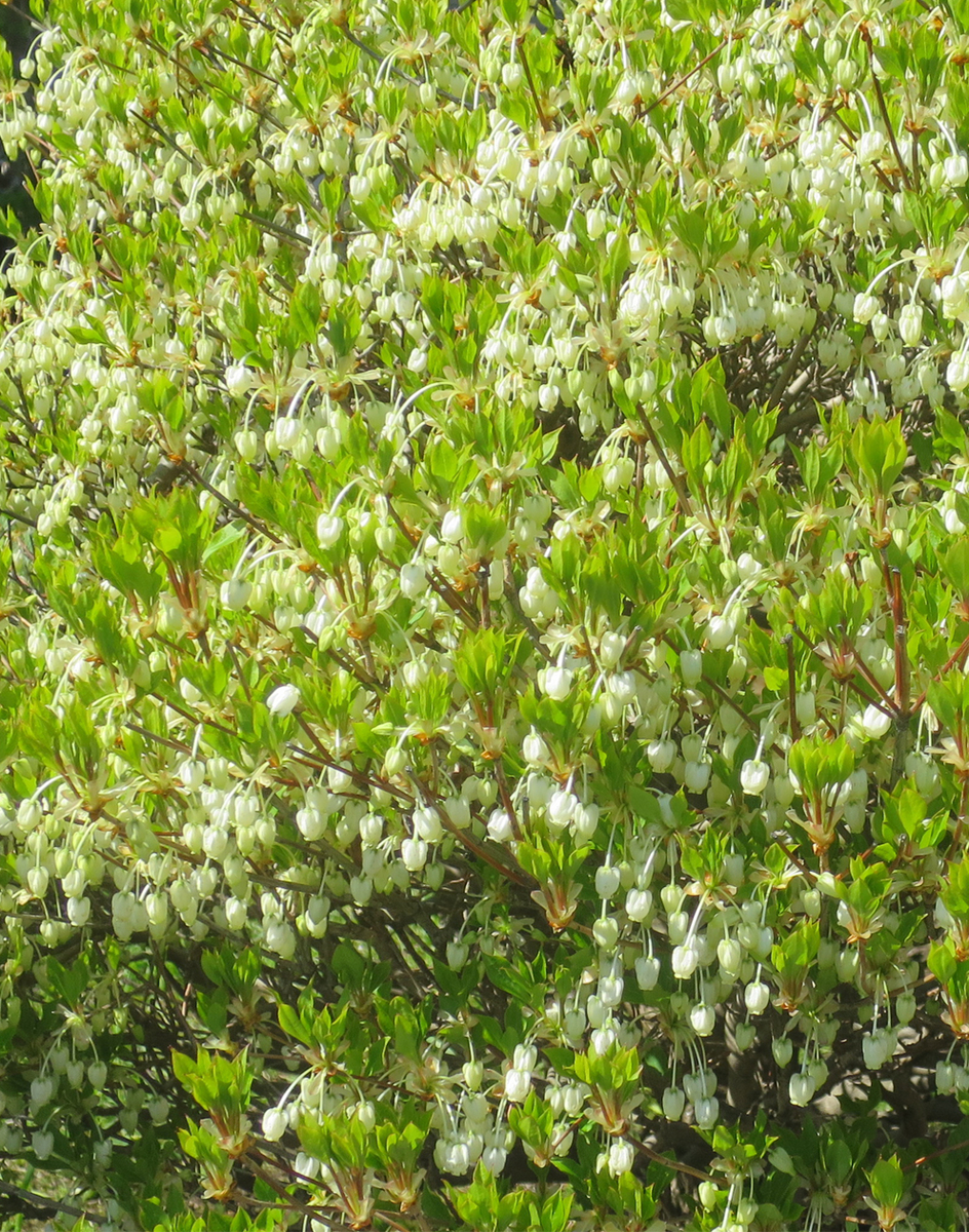 f:id:atarou:20190512064323j:plain f:id:atarou:20190512064323j:plain