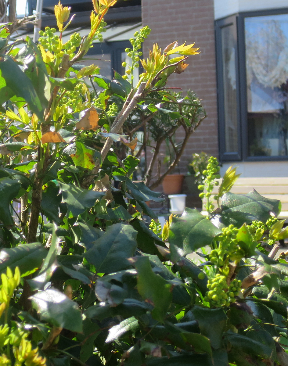f:id:atarou:20190512064419j:plain f:id:atarou:20190512064419j:plain