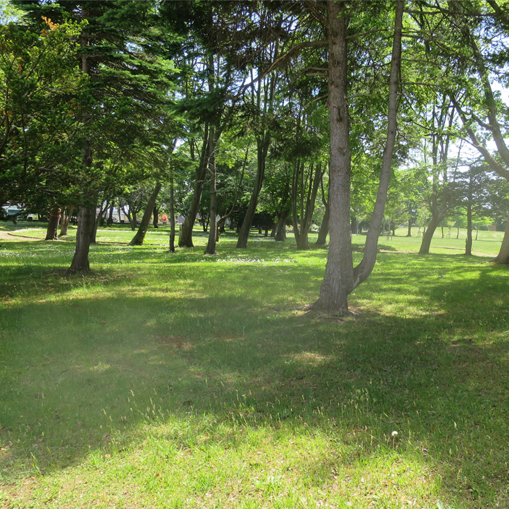 f:id:atarou:20190604064913j:plain f:id:atarou:20190604064913j:plain