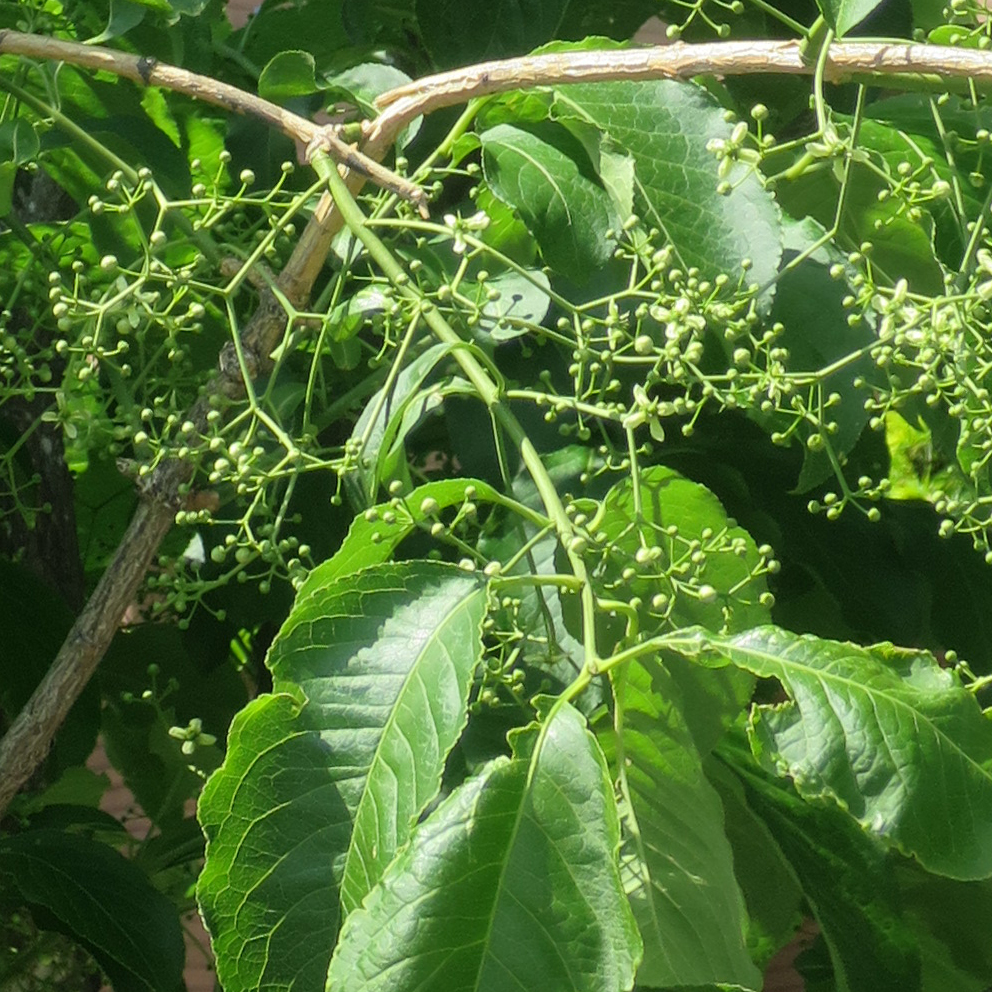 f:id:atarou:20190604065304j:plain f:id:atarou:20190604065304j:plain