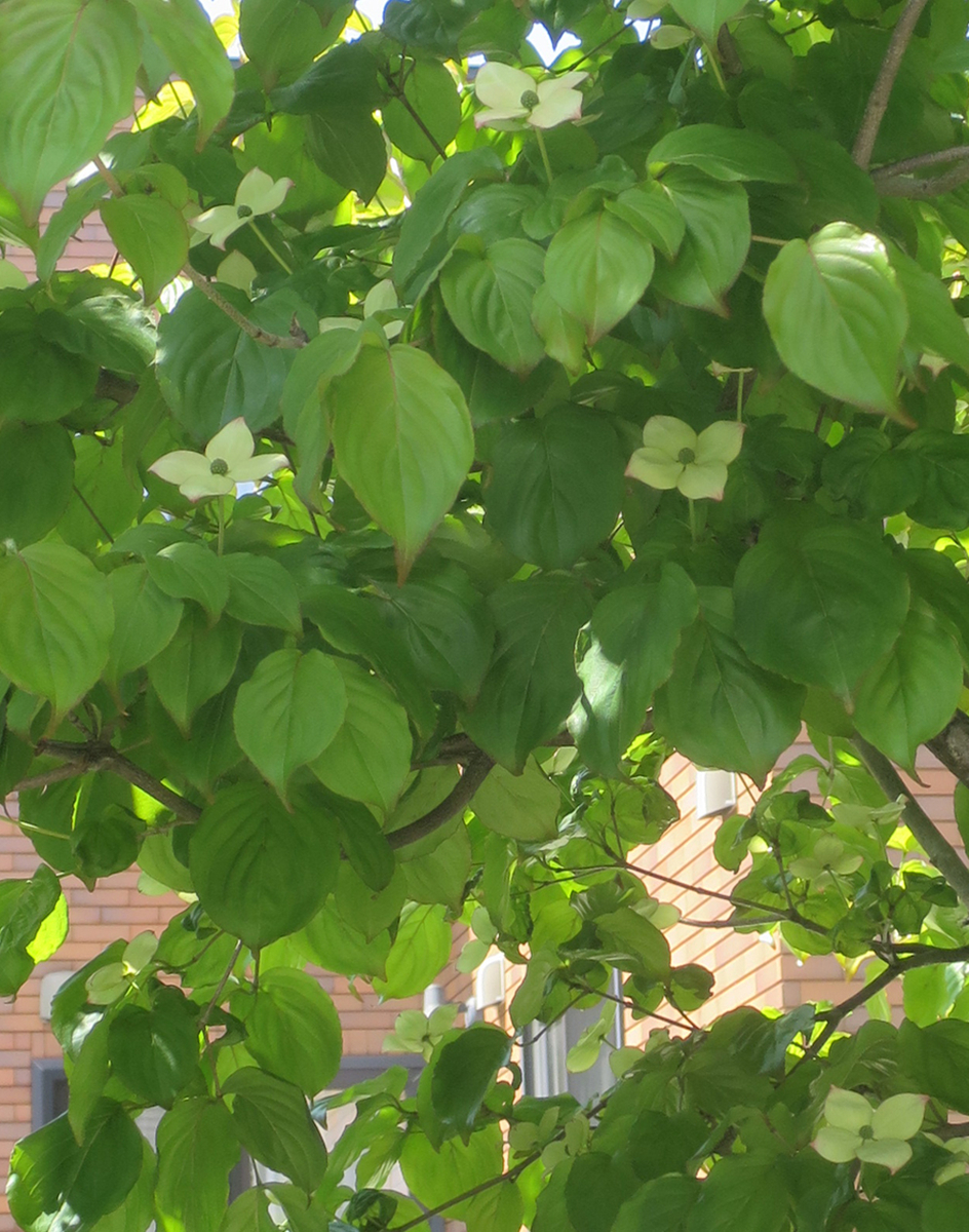 f:id:atarou:20190604070153j:plain f:id:atarou:20190604070153j:plain