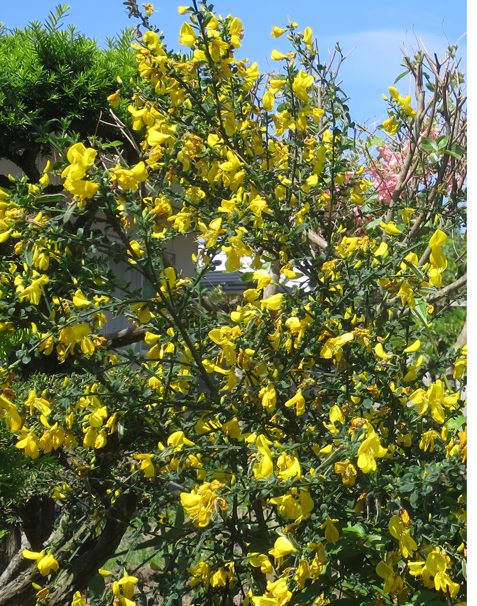 f:id:atarou:20190604070208j:plain f:id:atarou:20190604070208j:plain