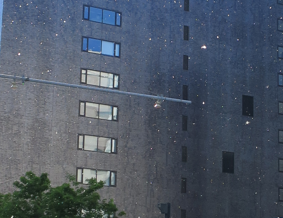 f:id:atarou:20190608064527j:plain