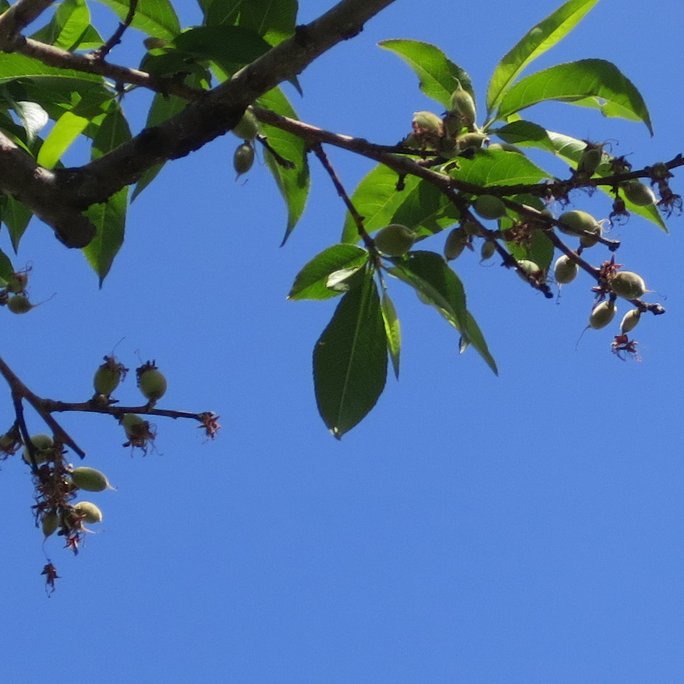 f:id:atarou:20190610064314j:plain
