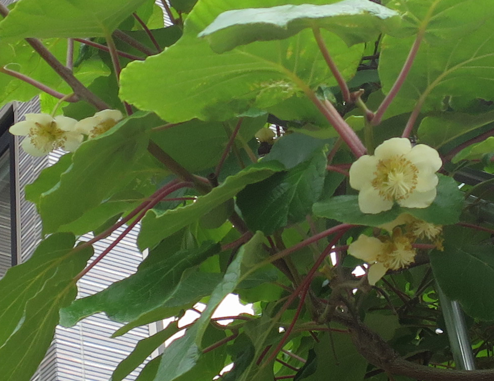 f:id:atarou:20190628061242j:plain