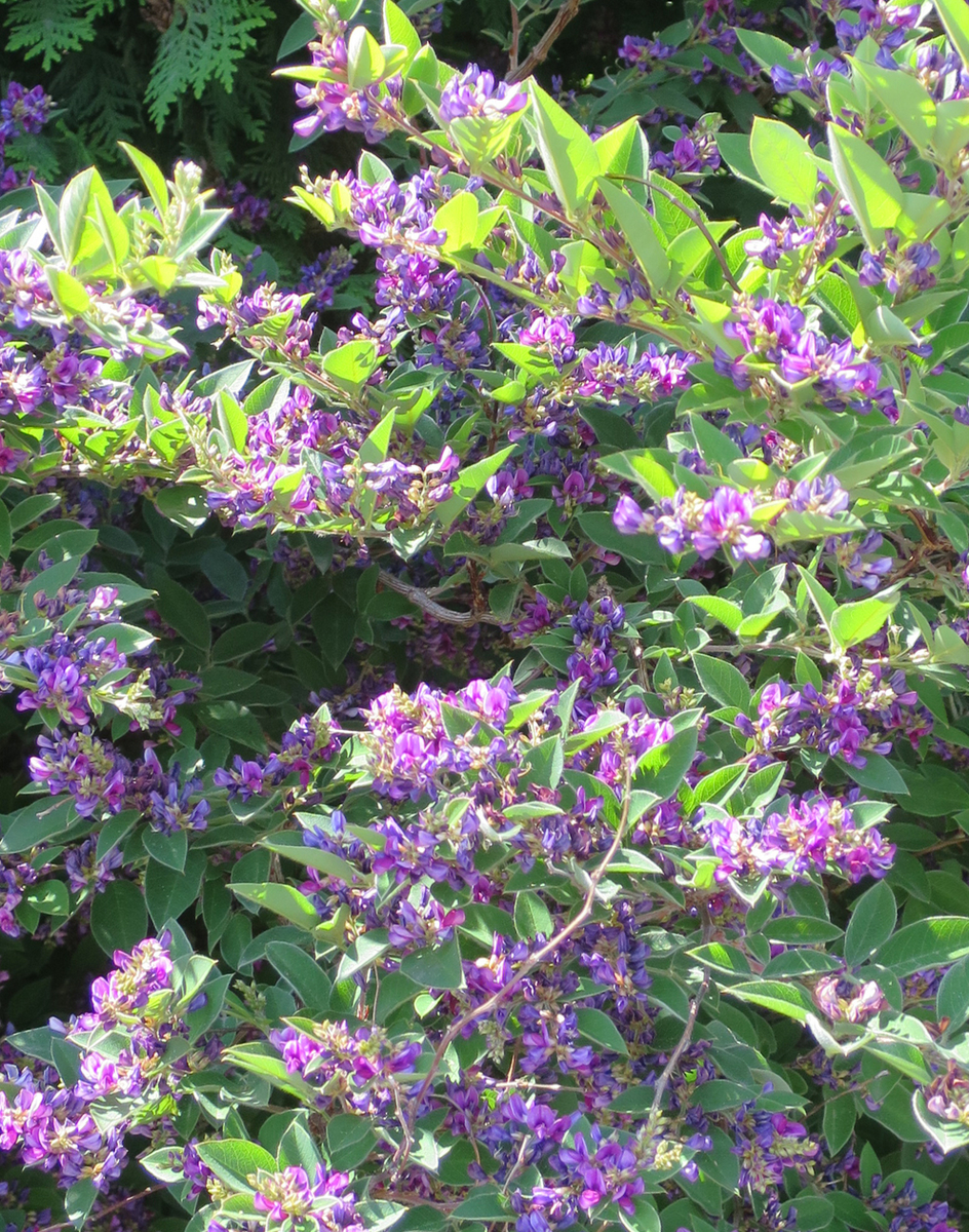 f:id:atarou:20190707063424j:plain