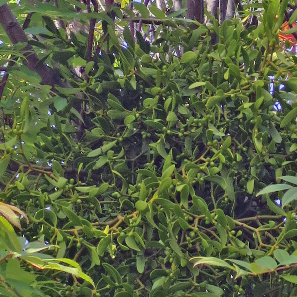 f:id:atarou:20190807072206j:plain