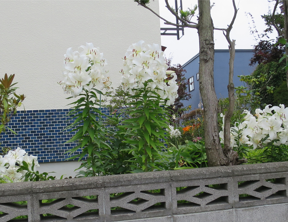 f:id:atarou:20190816065245j:plain