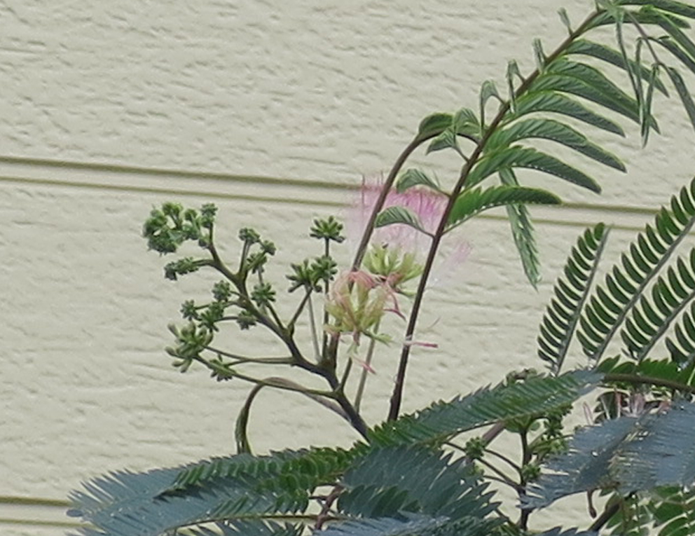 f:id:atarou:20190829070126j:plain