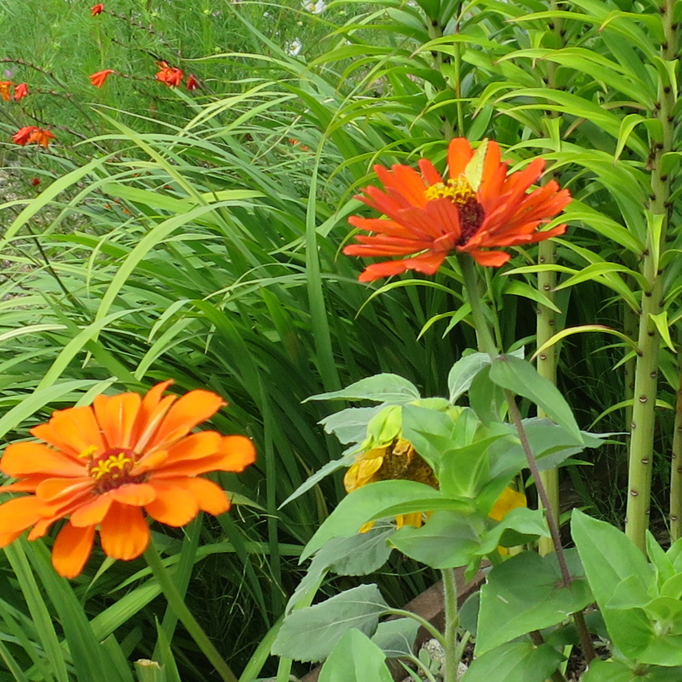 f:id:atarou:20190901063813j:plain