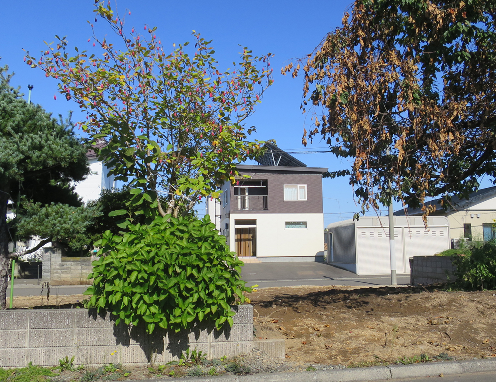 f:id:atarou:20190929064321j:plain f:id:atarou:20190929064321j:plain