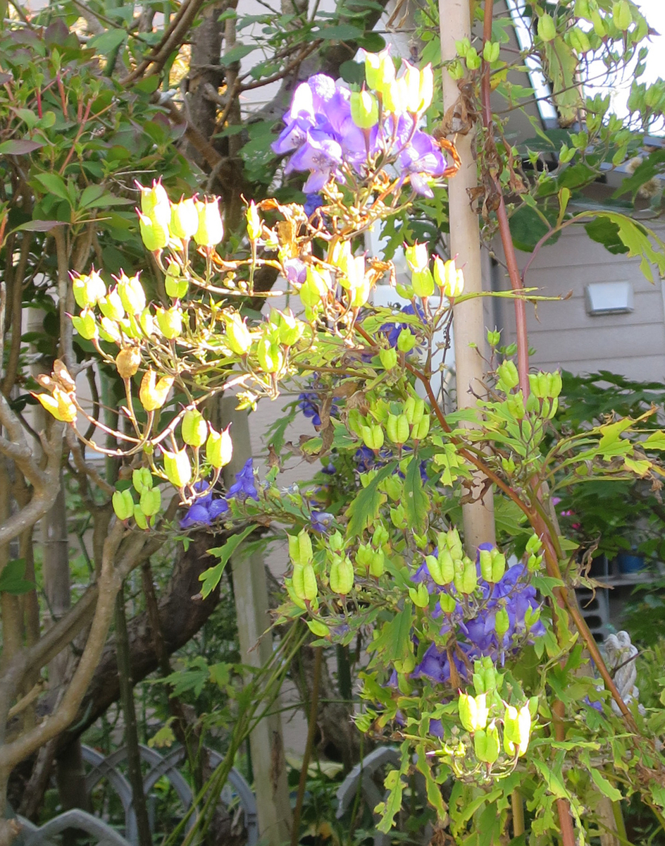 f:id:atarou:20190929065531j:plain f:id:atarou:20190929065531j:plain