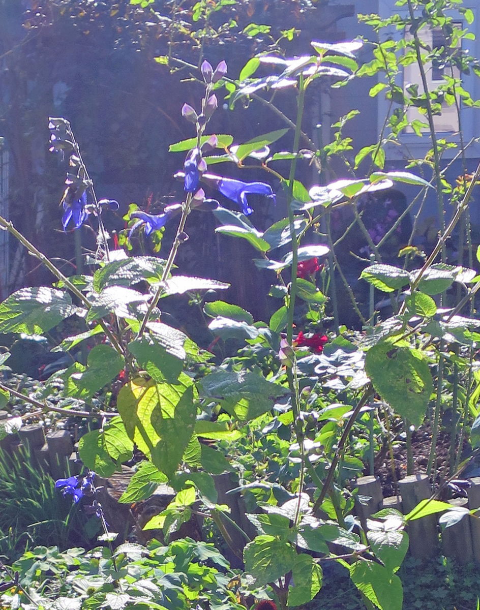 f:id:atarou:20191007070252j:plain
