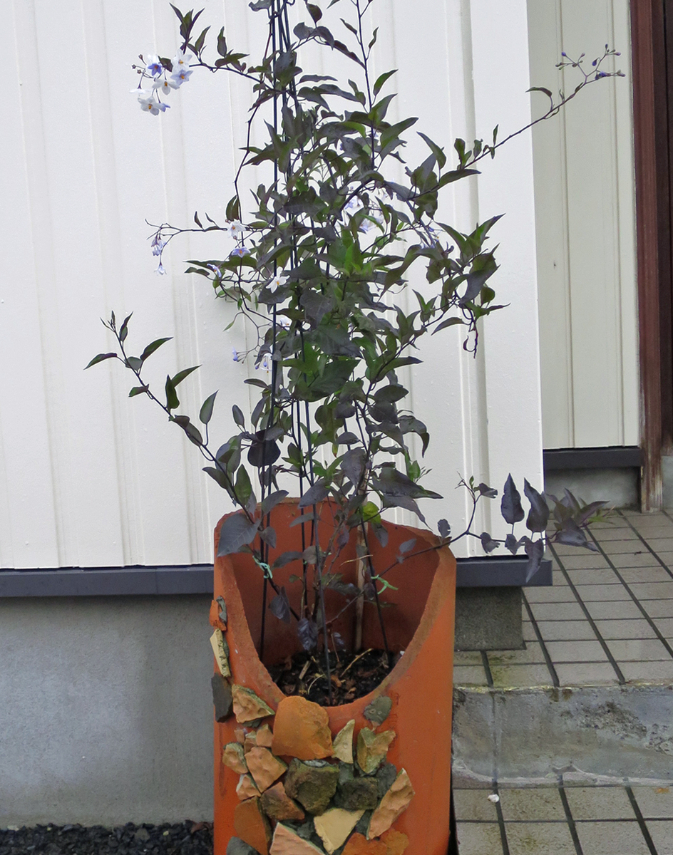 f:id:atarou:20191009065716j:plain f:id:atarou:20191009065716j:plain