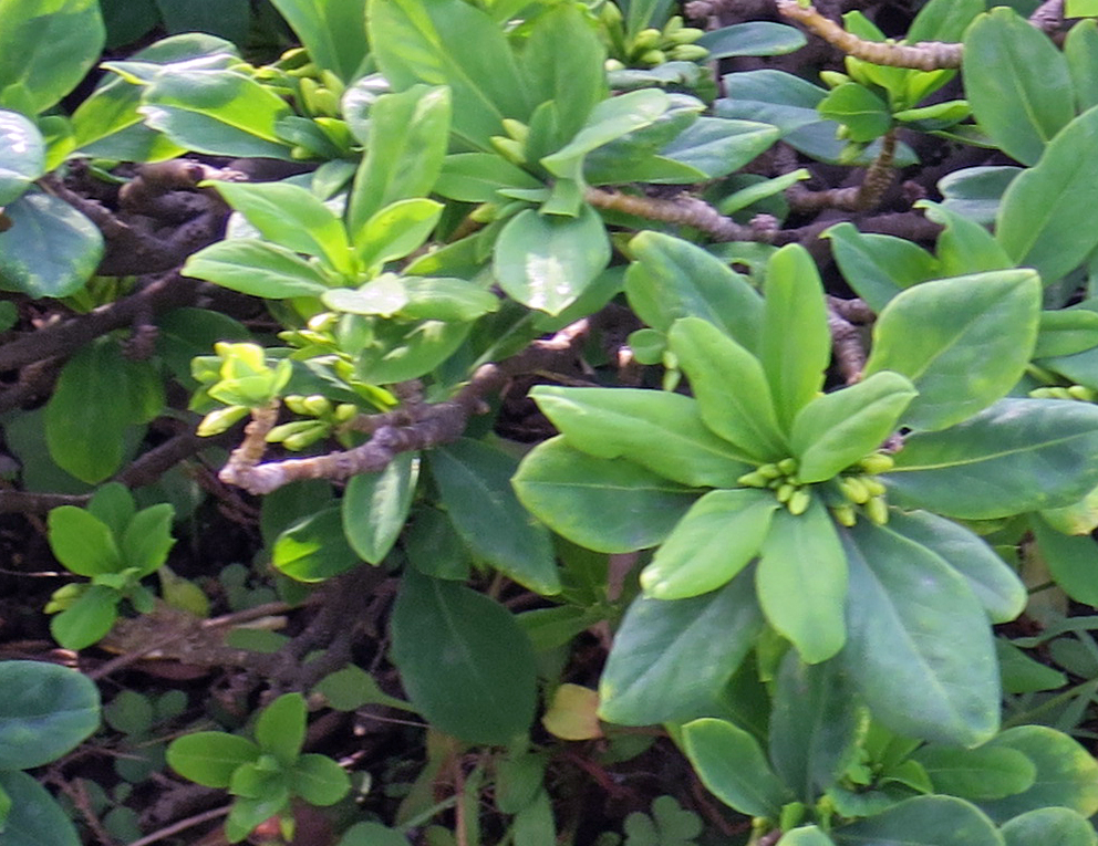 f:id:atarou:20191010065317j:plain f:id:atarou:20191010065317j:plain