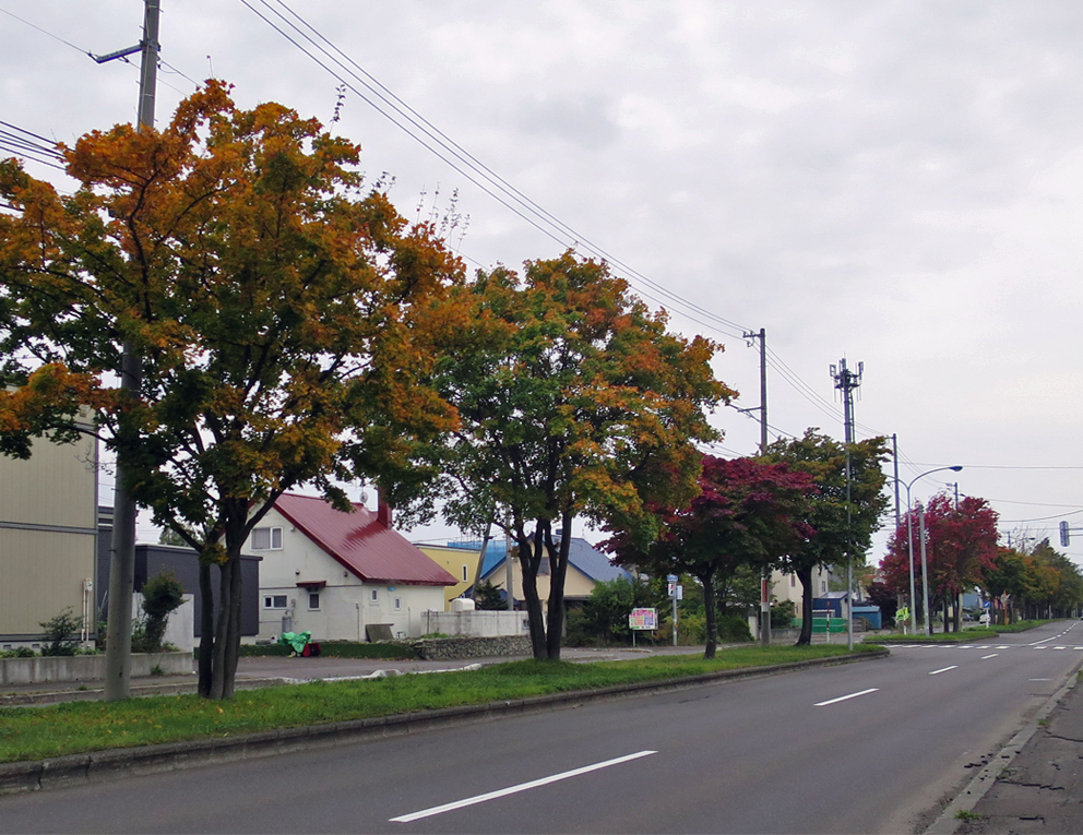 f:id:atarou:20191013065748j:plain