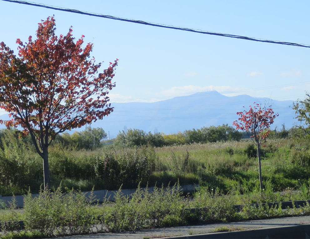 f:id:atarou:20191016064515j:plain