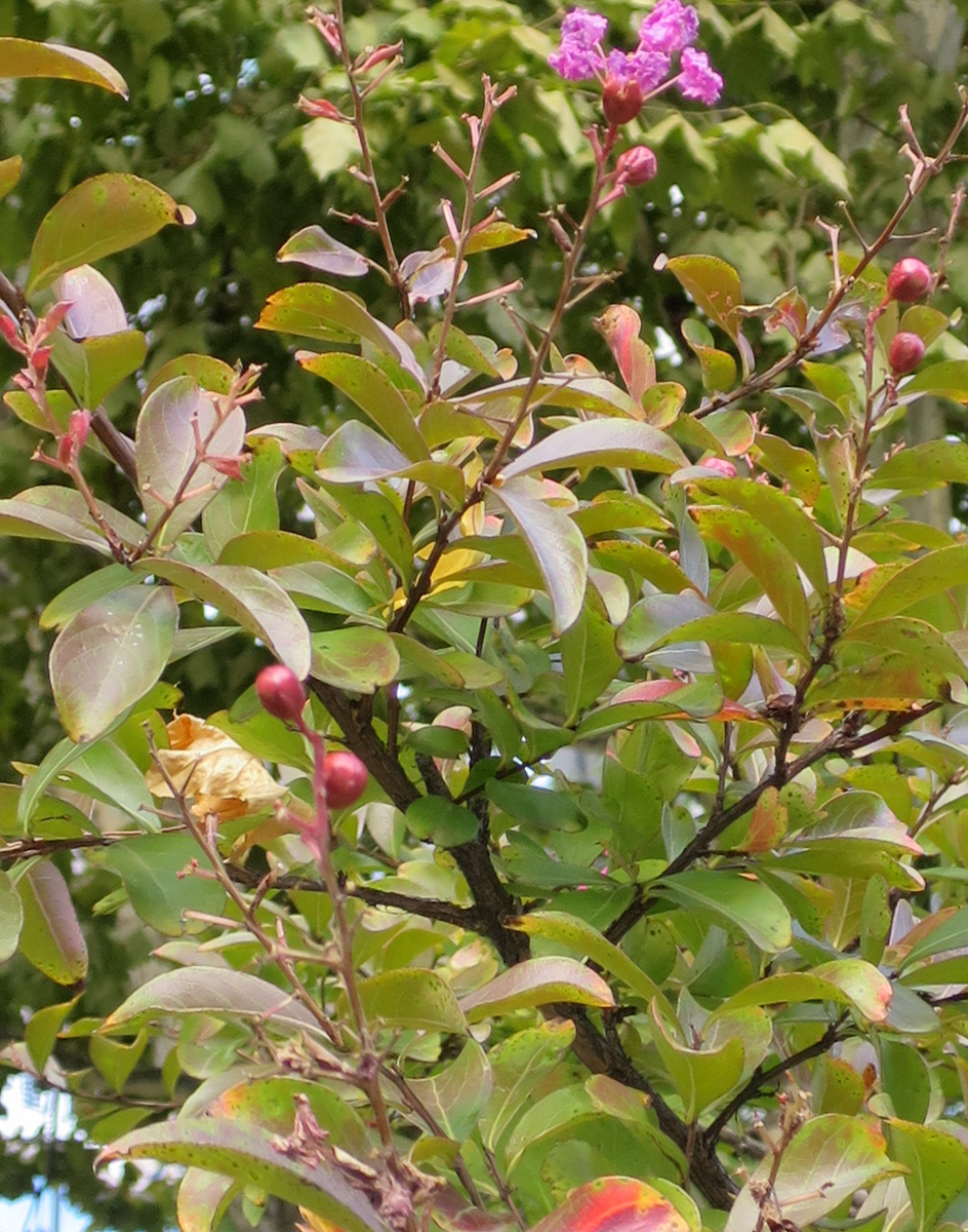 f:id:atarou:20191018063918j:plain f:id:atarou:20191018063918j:plain