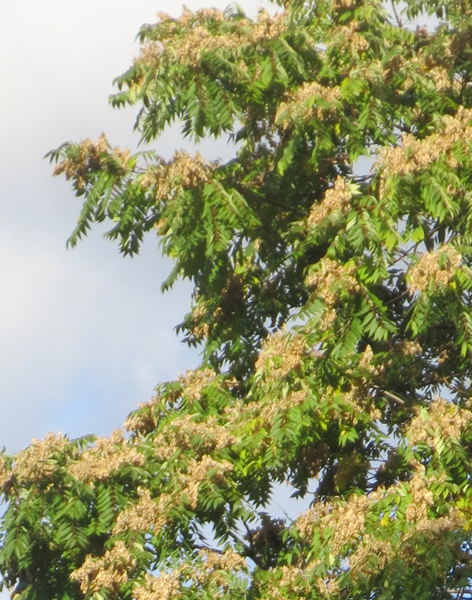 f:id:atarou:20191018064522j:plain f:id:atarou:20191018064522j:plain