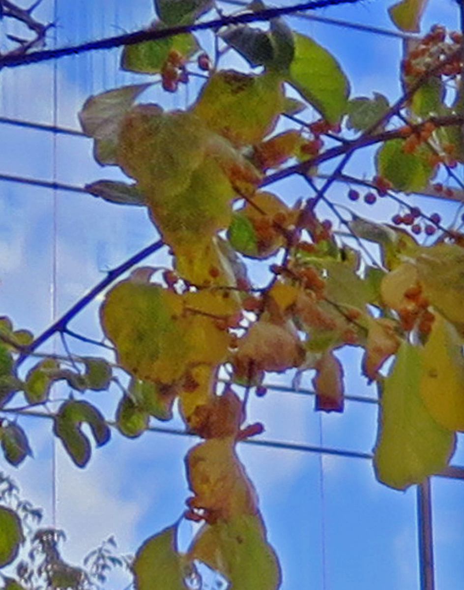 f:id:atarou:20191018064536j:plain f:id:atarou:20191018064536j:plain