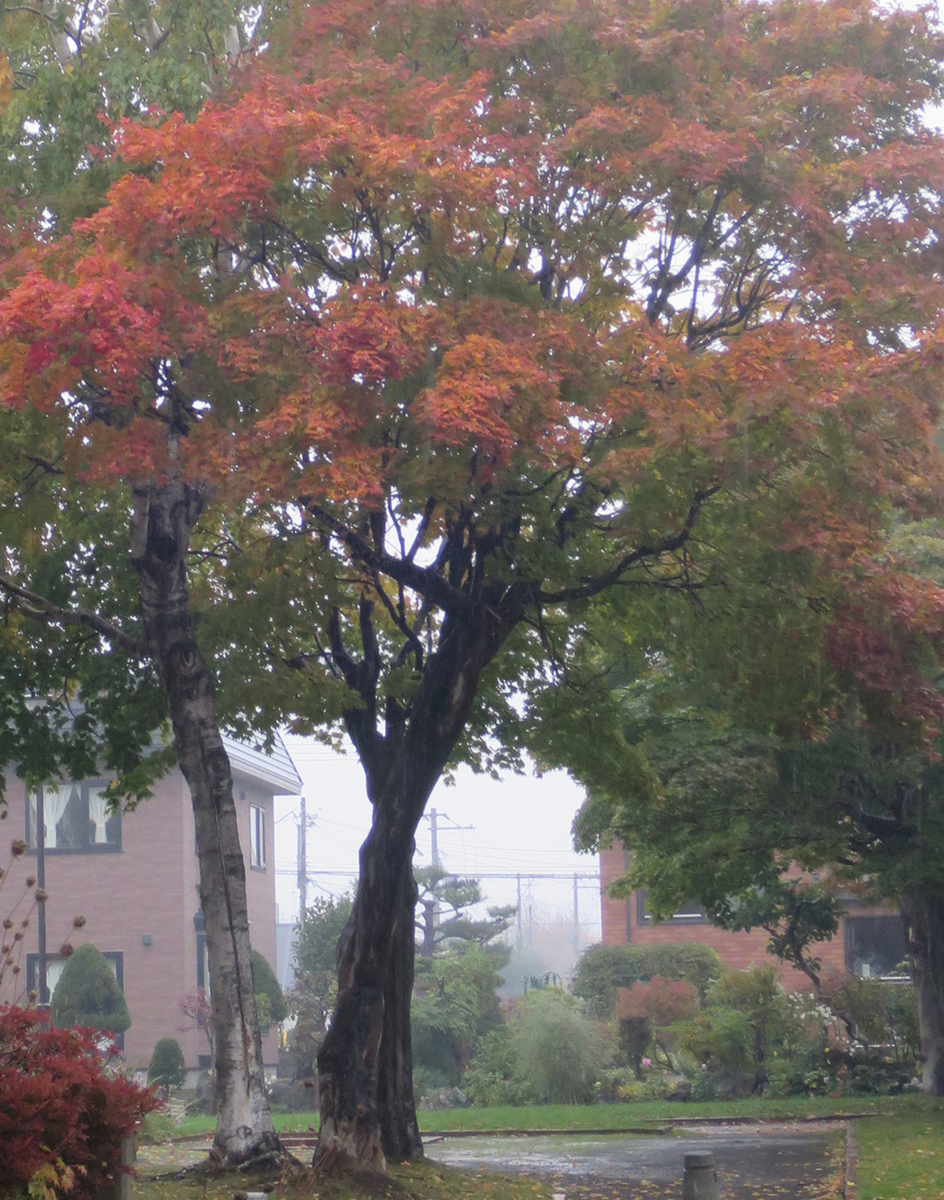 f:id:atarou:20191020064416j:plain