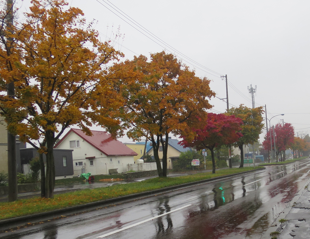 f:id:atarou:20191020065137j:plain