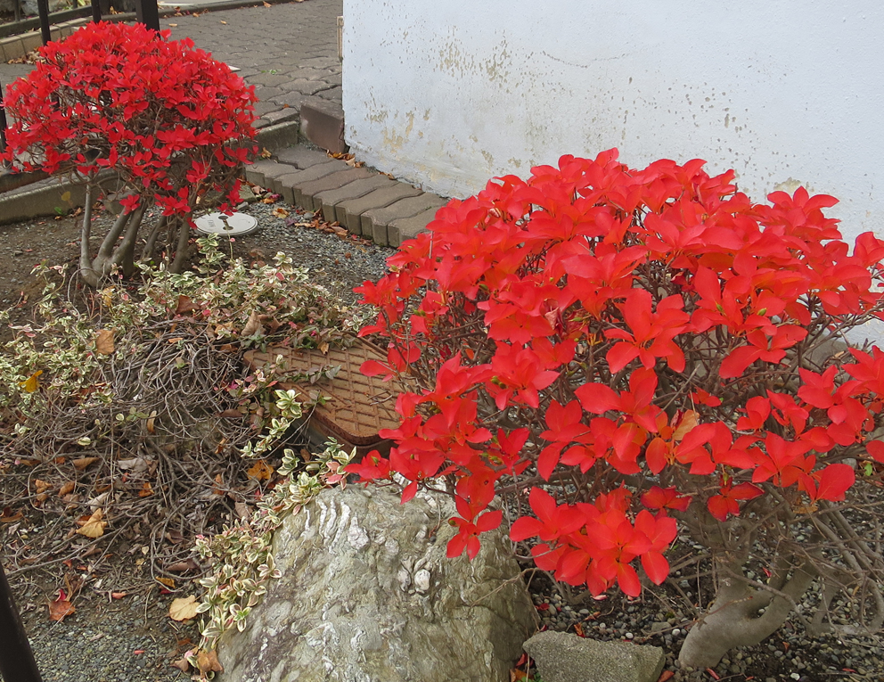 f:id:atarou:20191025065112j:plain f:id:atarou:20191025065112j:plain
