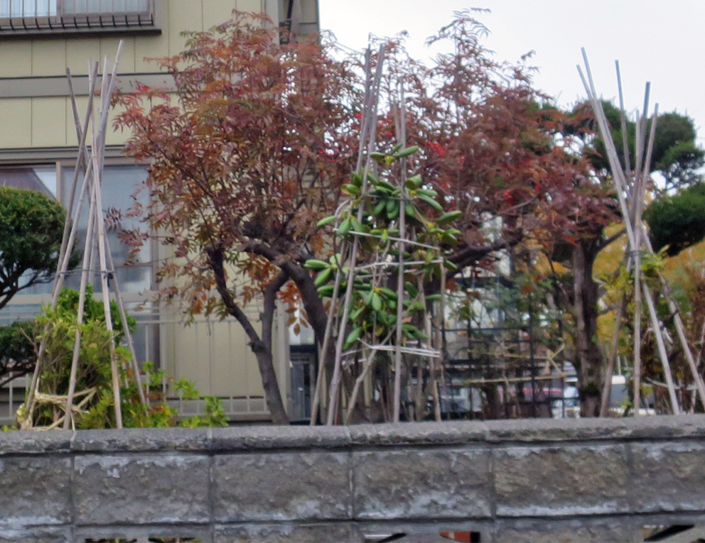 f:id:atarou:20191026091446j:plain