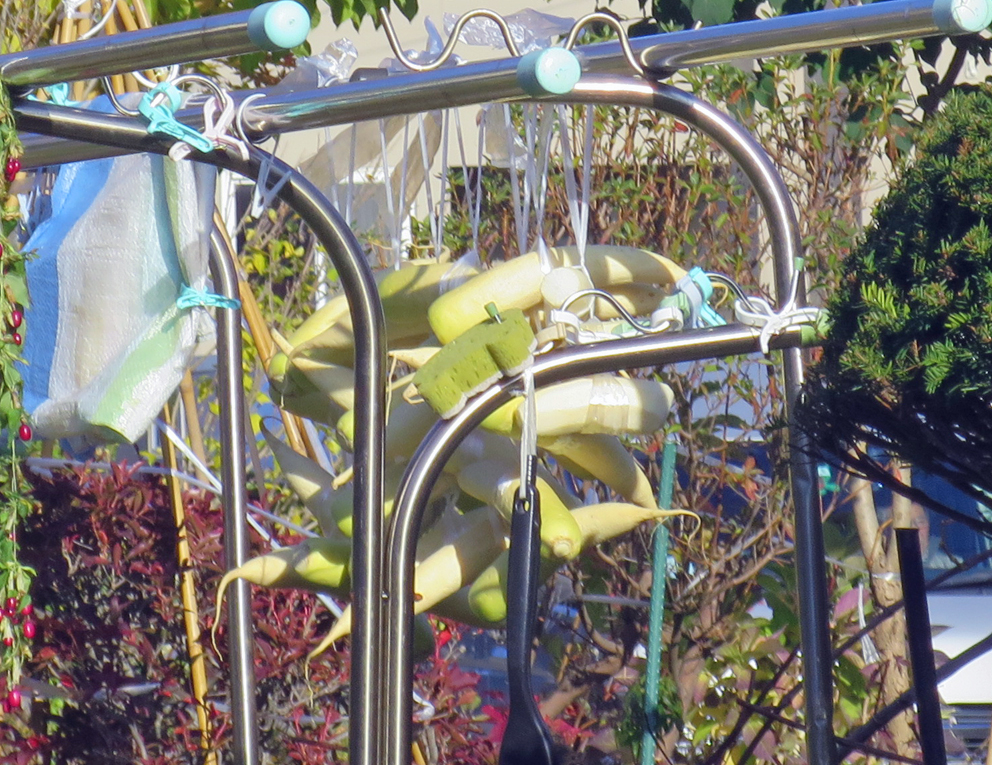 f:id:atarou:20191028065815j:plain