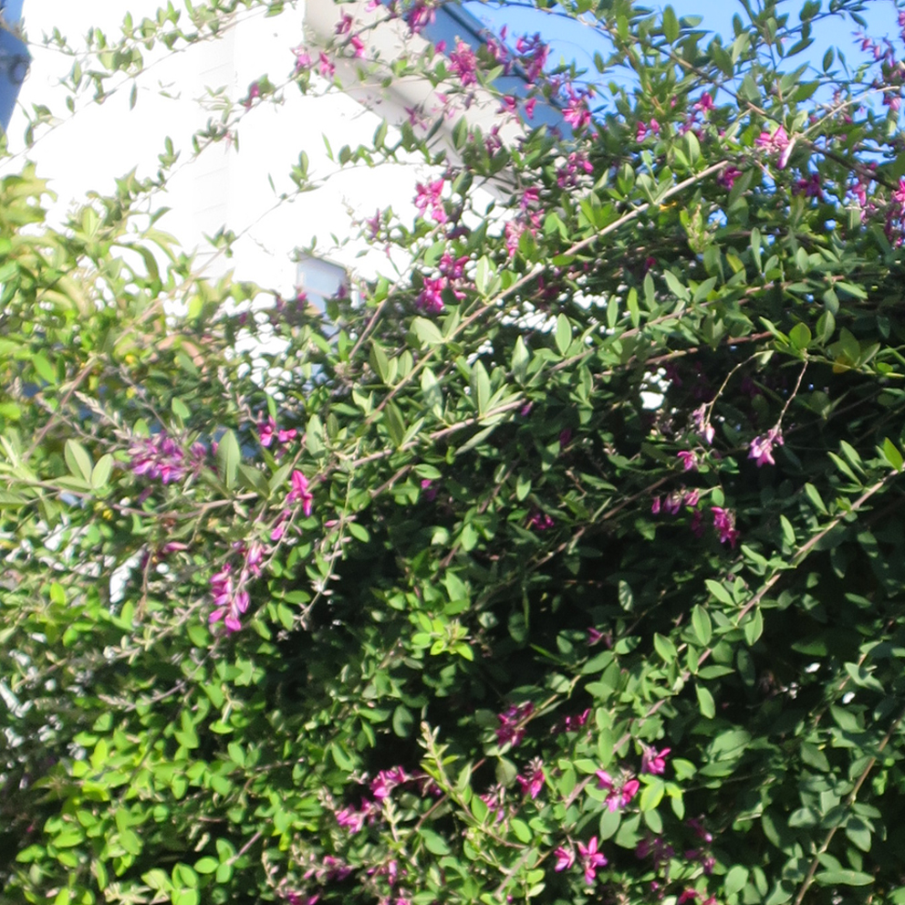 f:id:atarou:20191029071607j:plain