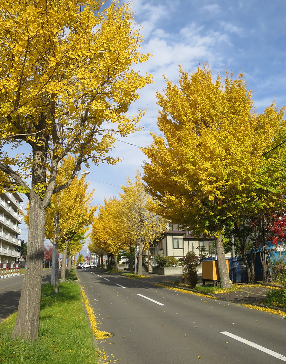 f:id:atarou:20191030064425j:plain