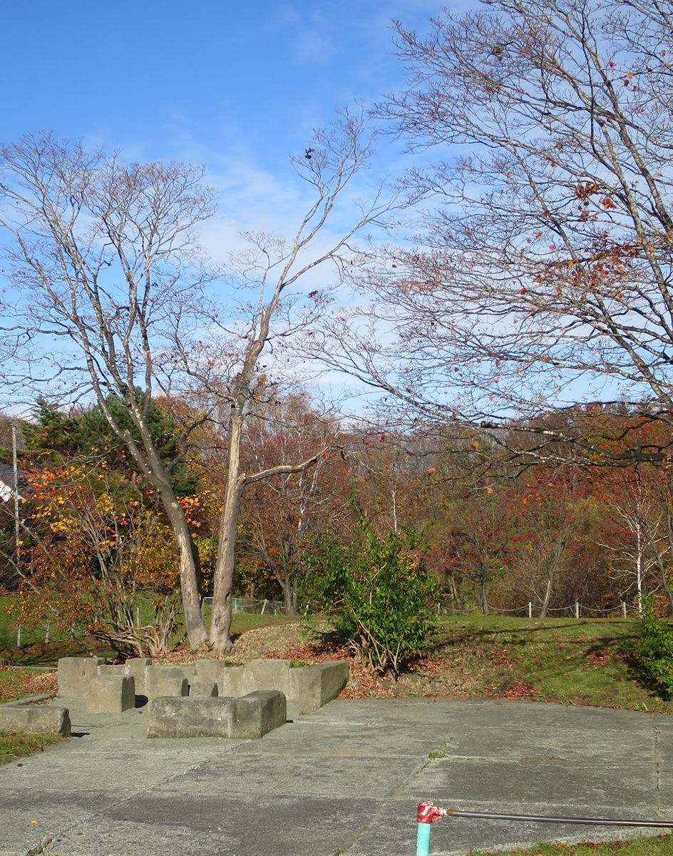 f:id:atarou:20191103064710j:plain