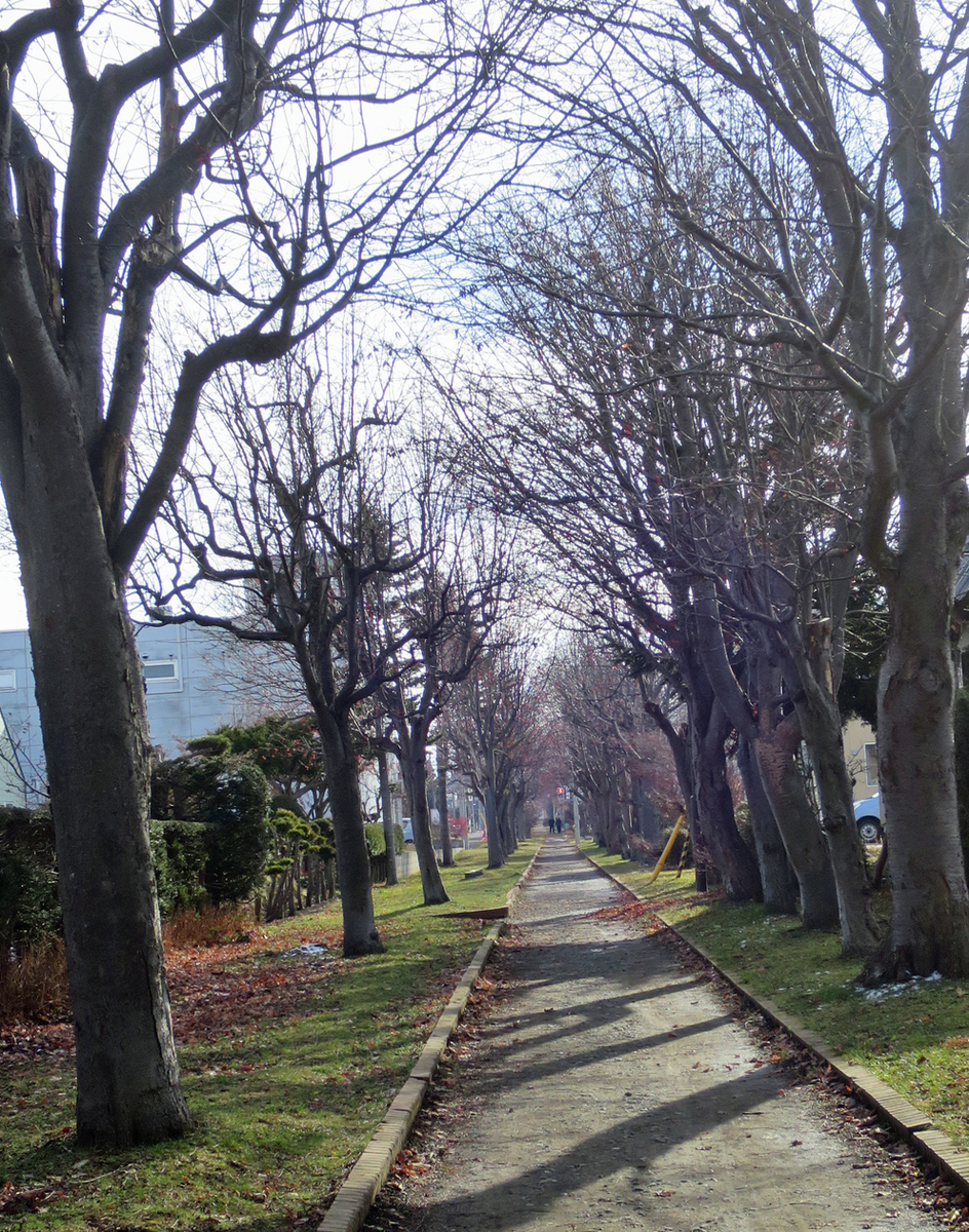f:id:atarou:20191128063200j:plain f:id:atarou:20191128063200j:plain