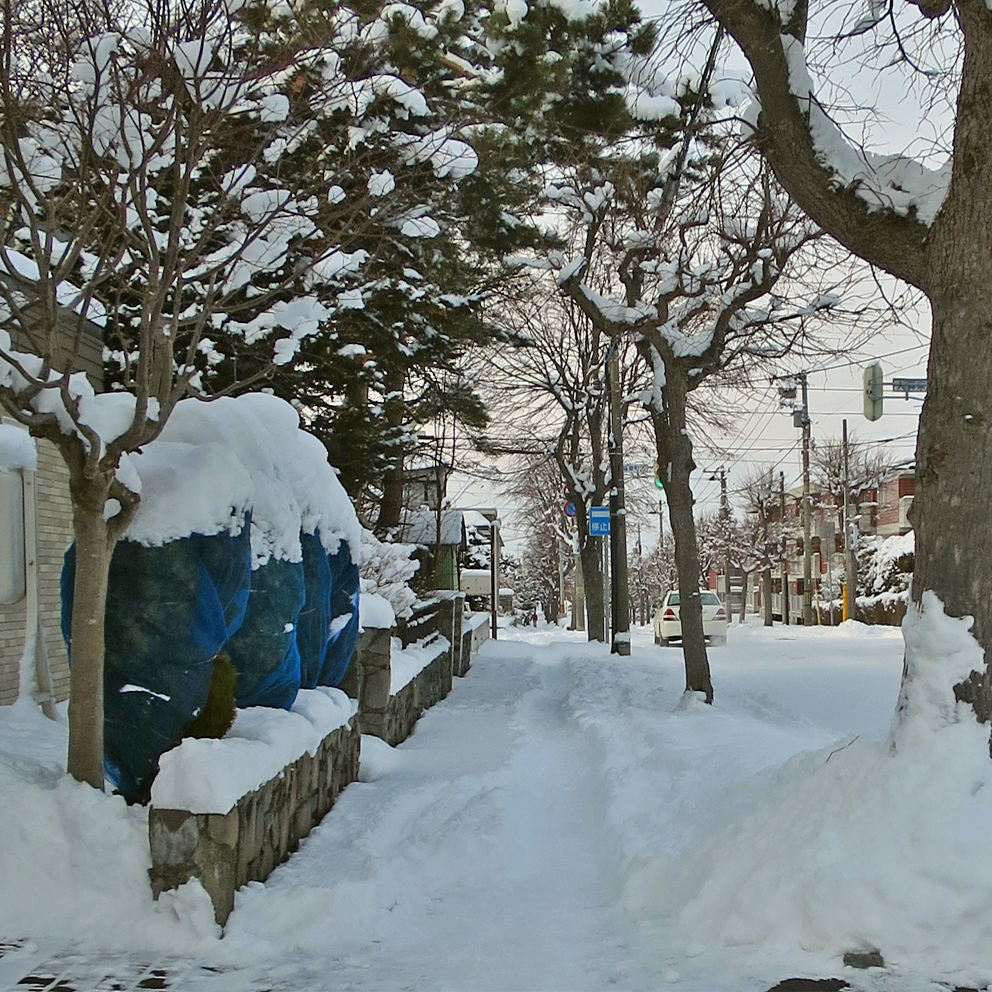 f:id:atarou:20191227070027j:plain