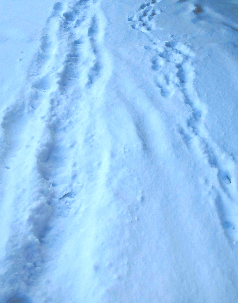 f:id:atarou:20200106081345j:plain