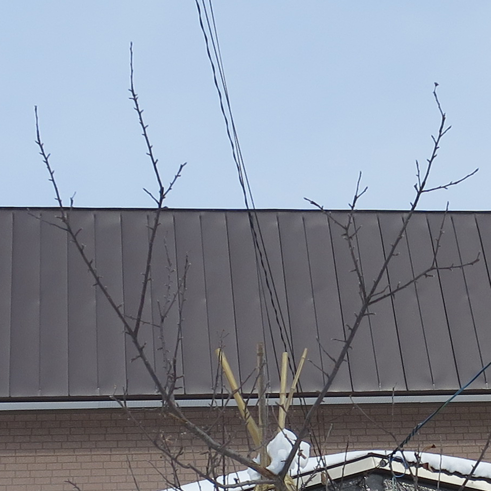 f:id:atarou:20200210080418j:plain f:id:atarou:20200210080418j:plain