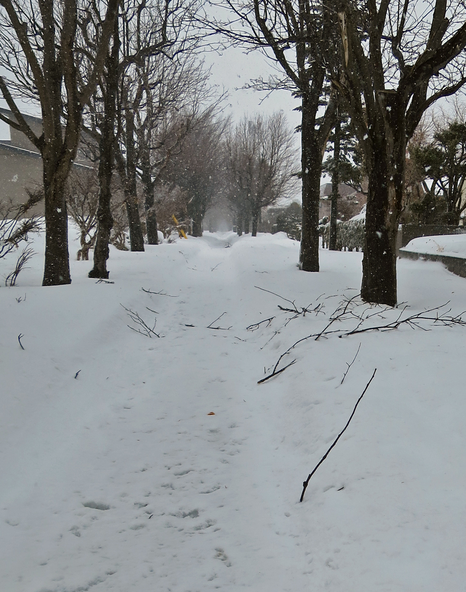 f:id:atarou:20200224064959j:plain f:id:atarou:20200224064959j:plain