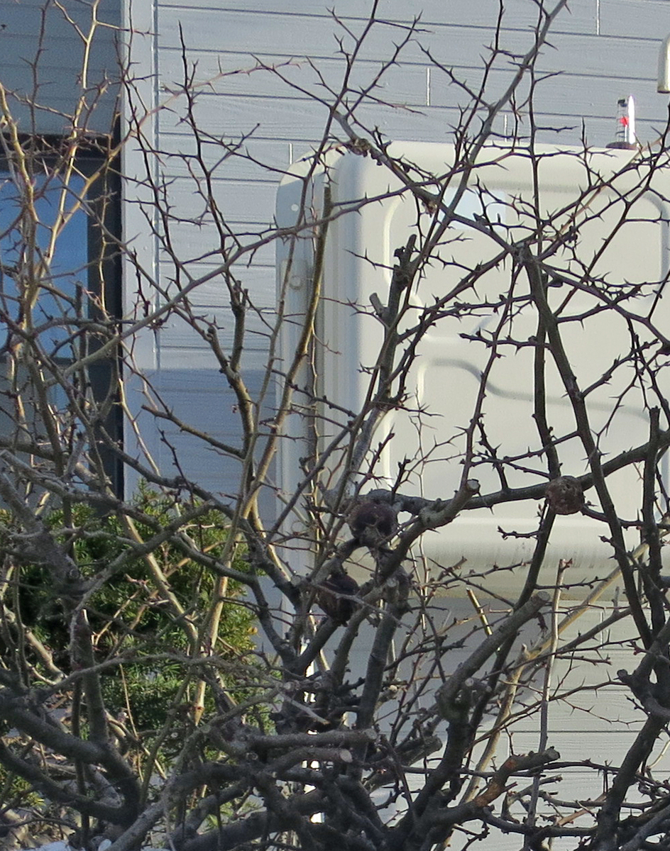 f:id:atarou:20200313125626j:plain f:id:atarou:20200313125626j:plain
