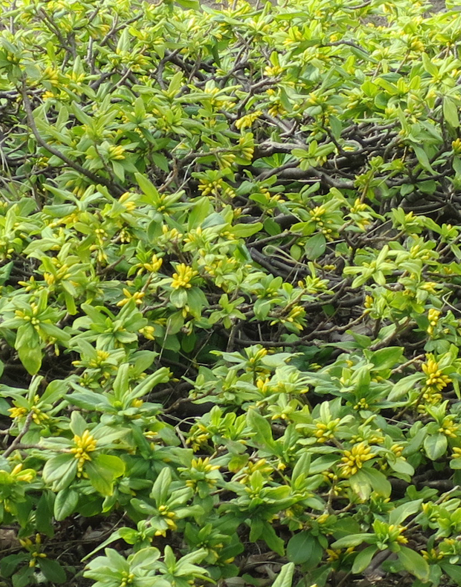 f:id:atarou:20200402061949j:plain f:id:atarou:20200402061949j:plain