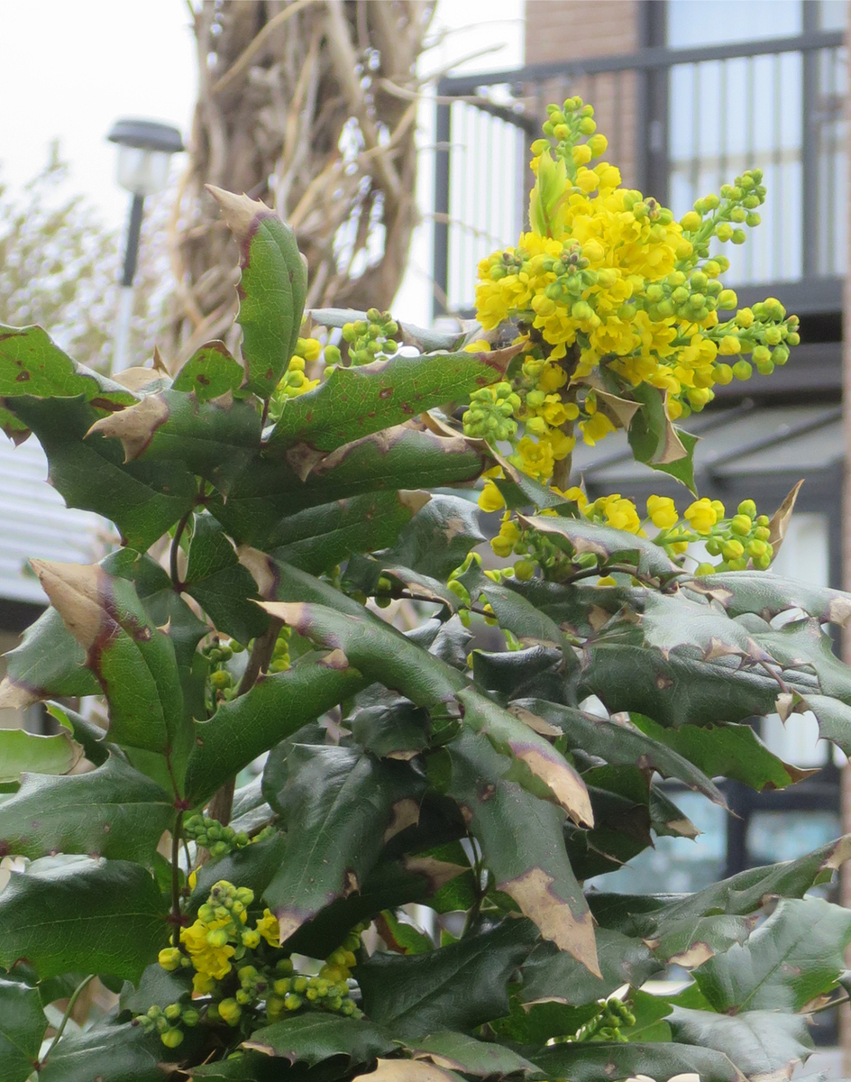 f:id:atarou:20200517062500j:plain f:id:atarou:20200517062500j:plain
