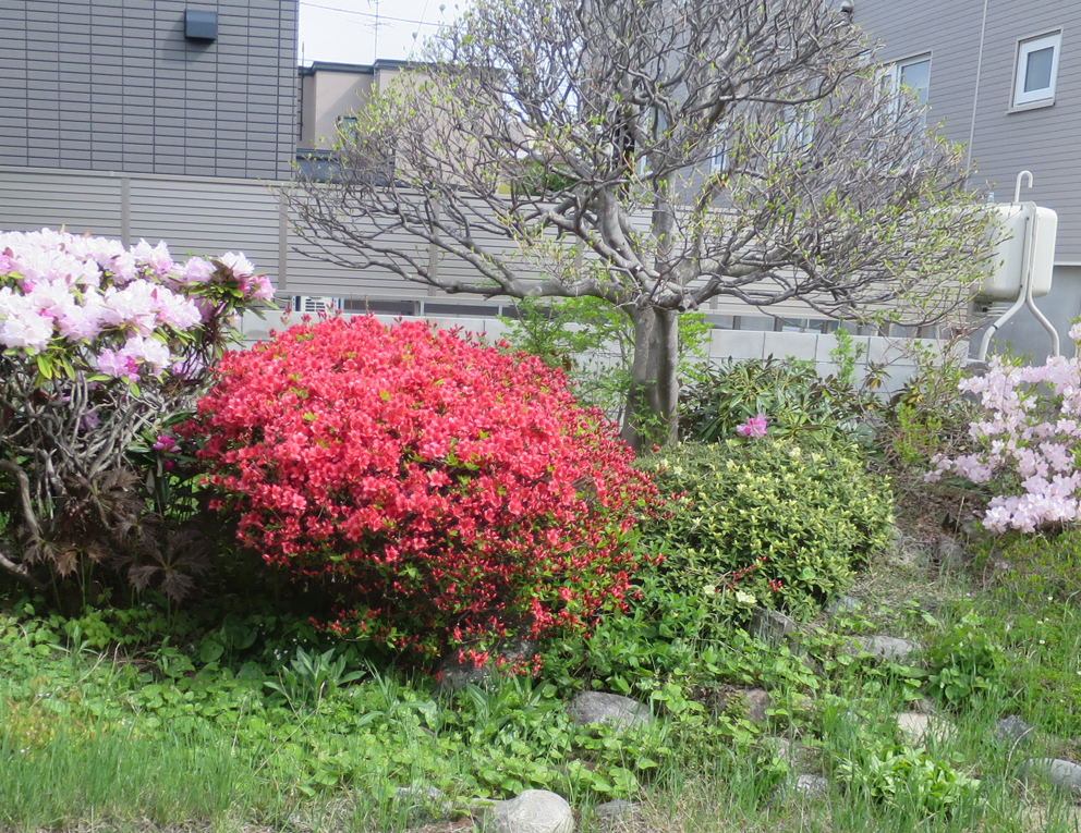 f:id:atarou:20200517064457j:plain f:id:atarou:20200517064457j:plain