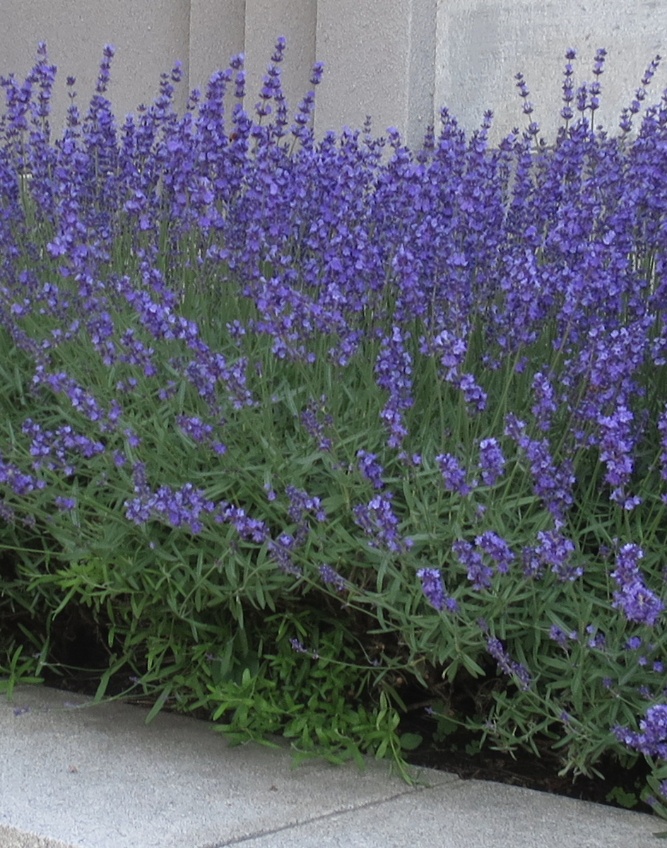 f:id:atarou:20200704070946j:plain f:id:atarou:20200704070946j:plain