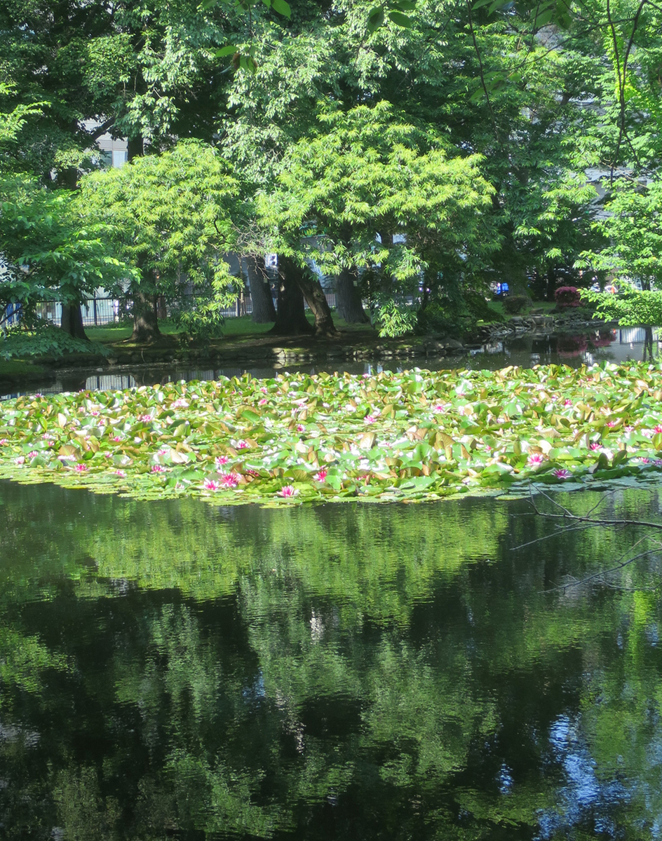 f:id:atarou:20200704071029j:plain f:id:atarou:20200704071029j:plain