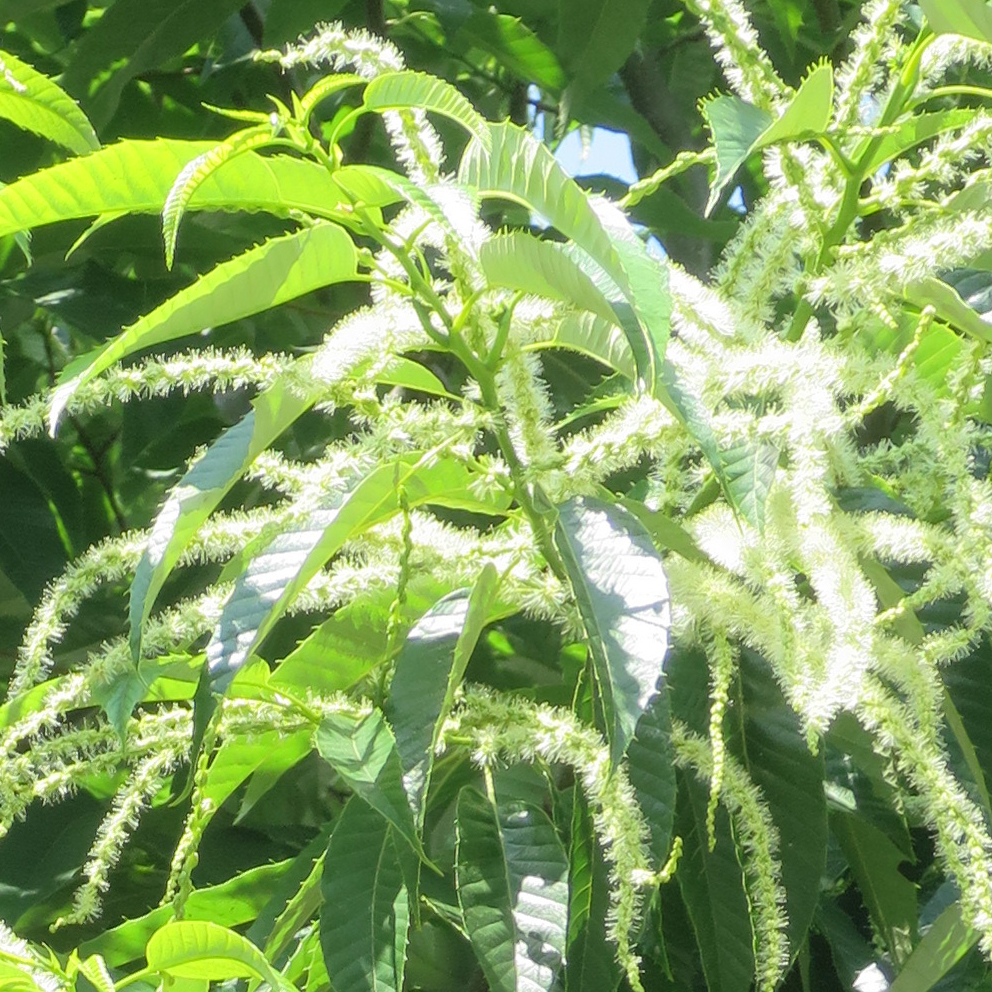 f:id:atarou:20200707063531j:plain f:id:atarou:20200707063531j:plain
