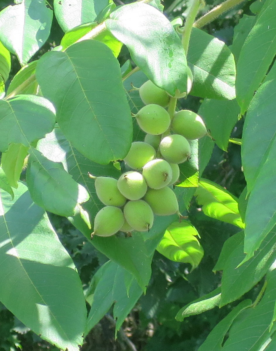 f:id:atarou:20200707063846j:plain f:id:atarou:20200707063846j:plain