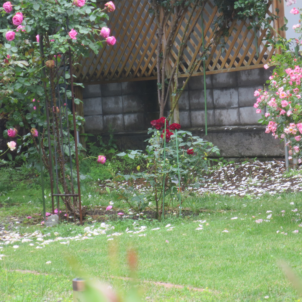 f:id:atarou:20200709064241j:plain