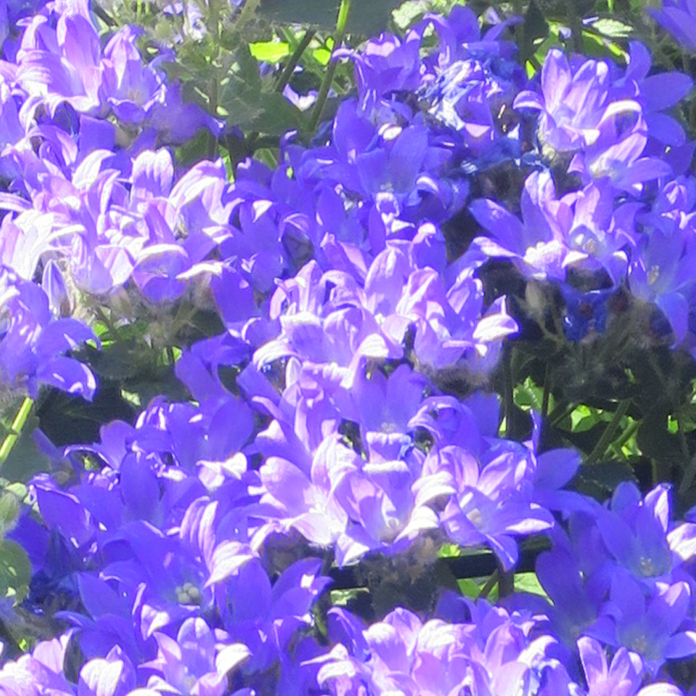 f:id:atarou:20200716064500j:plain