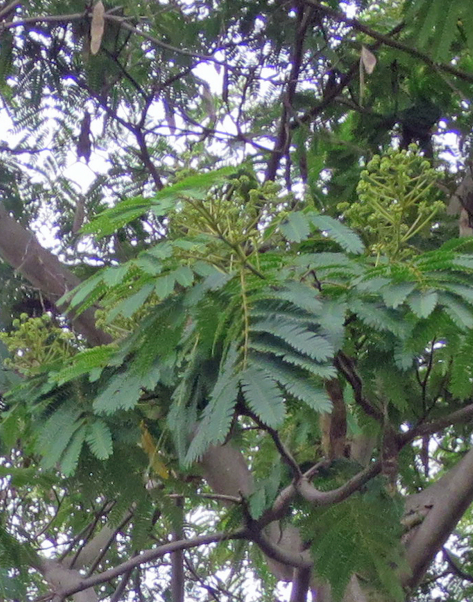 f:id:atarou:20200724064451j:plain f:id:atarou:20200724064451j:plain