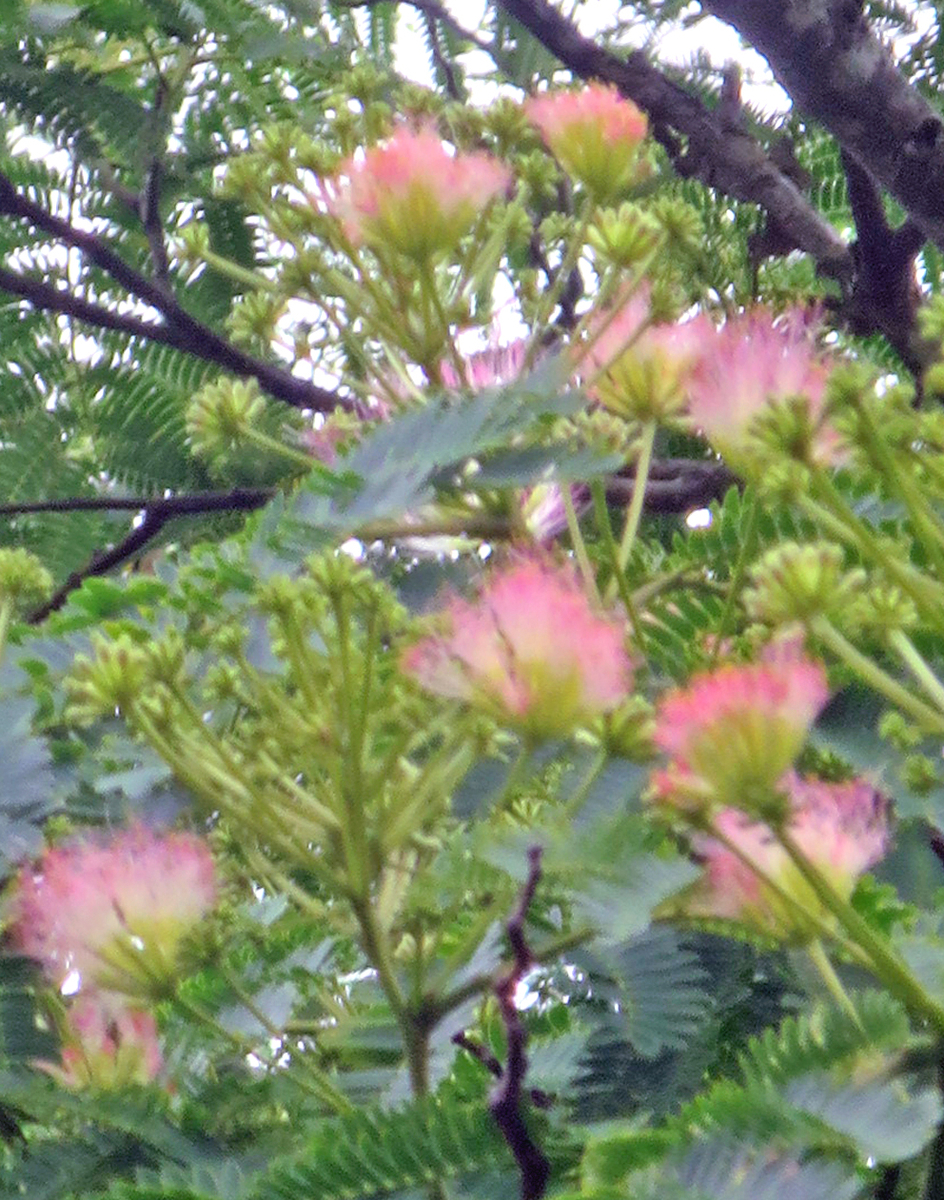 f:id:atarou:20200724064904j:plain f:id:atarou:20200724064904j:plain
