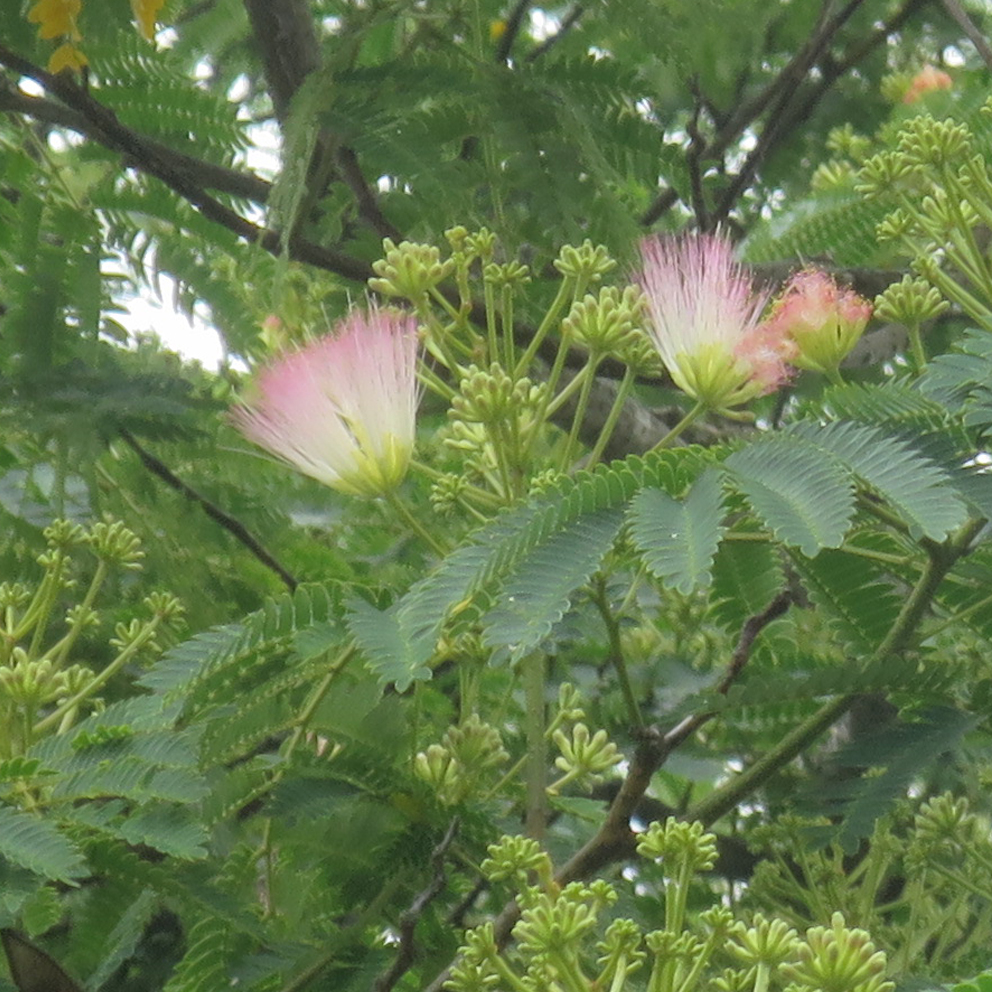 f:id:atarou:20200724065858j:plain f:id:atarou:20200724065858j:plain